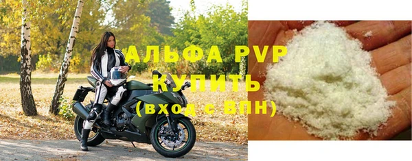прущие крисы Киренск