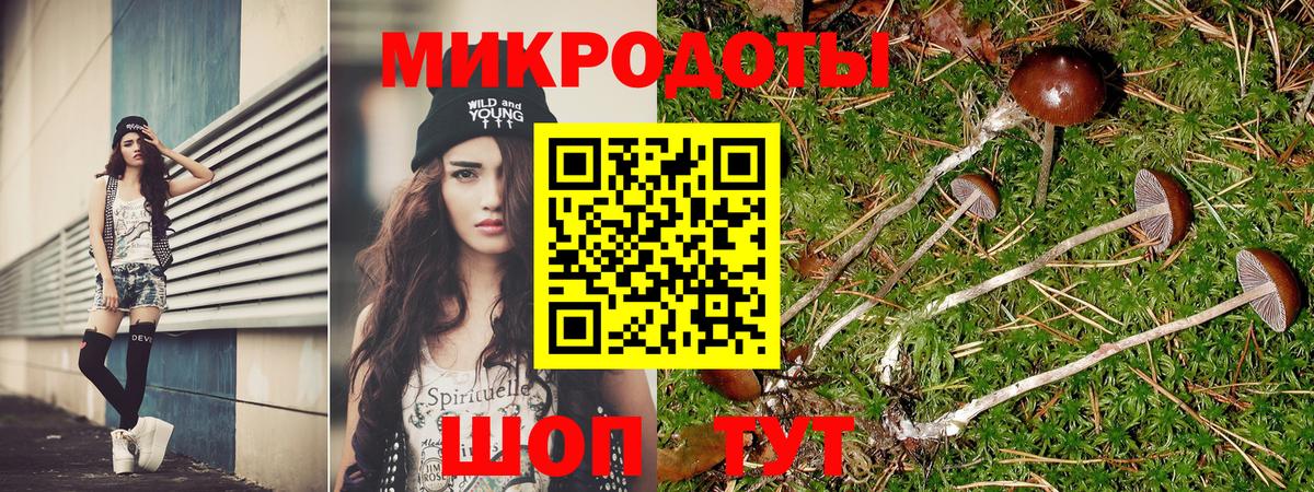 Псилоцибиновые грибы Psilocybe Нарткала