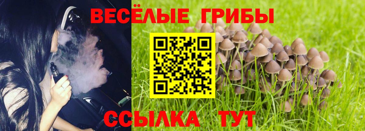 Галлюциногенные грибы Psilocybine cubensis  Вход с VPN  Псилоцибиновые грибы прущие грибы  Нарткала 